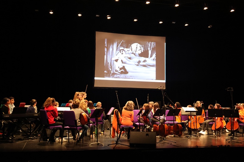 Concerts et Spectacles