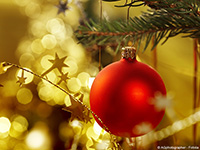 Salons - Expositions