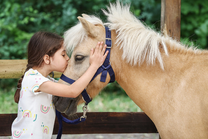 Equitation : Stage de Fevrier