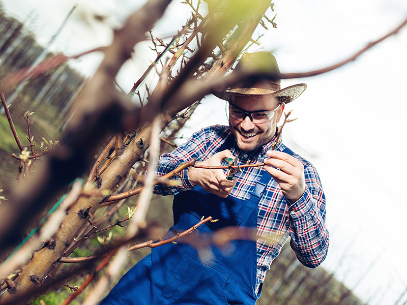 Salons - Expositions