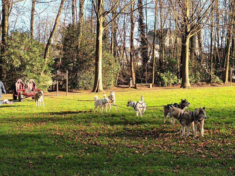 Fêtes et Animations