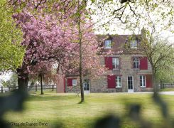Meublés et Gîtes