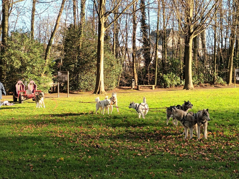 Concerts et Spectacles
