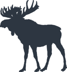 Caribou bleu ©OTHP