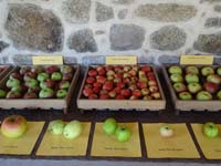 Fête de la Pomme - Carrouges ©Orne Tourisme