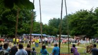 forêt200 © Comité des fêtes de La Sauvagère