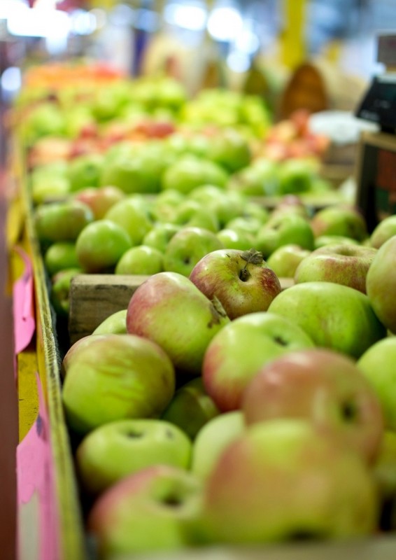 marché01_ 566x800 canva