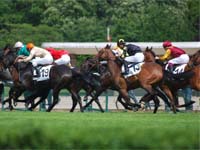 Courses hippiques - Haras national du Pin ©Jean Chevret
