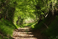 randonnee-200 ©OTBelleme