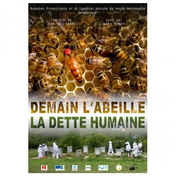 Cinétraction abeille la dette humaine Cinétraction