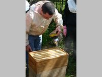 ecomusee_apiculture1_200 ©ecomuseeduperche