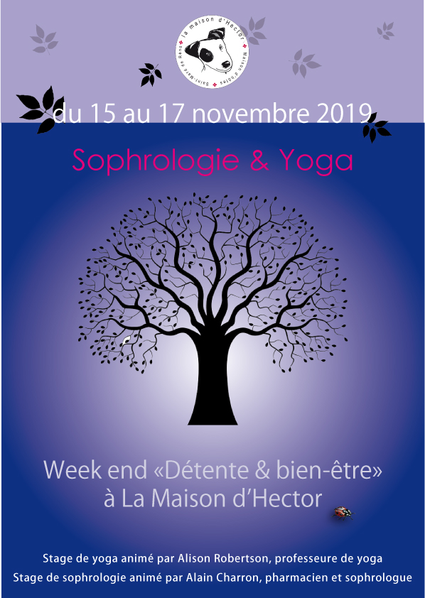 Yoga-Maison d'HEctor-hiver-2019