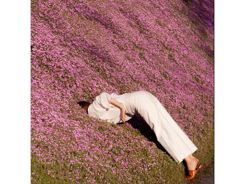 mtwashingtonmedium Maia Flore