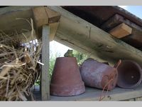 ecomusee_jardin3_200 ©ecomuseeduperche