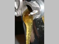 ecomusee_apiculture3_200 ©ecomuseeduperche