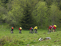 à vélo dans l'Orne en Normandie © Lamax-Fotolia.com
