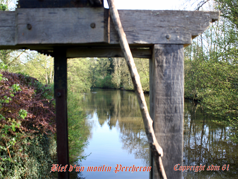 rainville 1 Quiblier