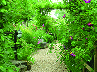 jardinducoudray200X150 ©Lionel Jannet