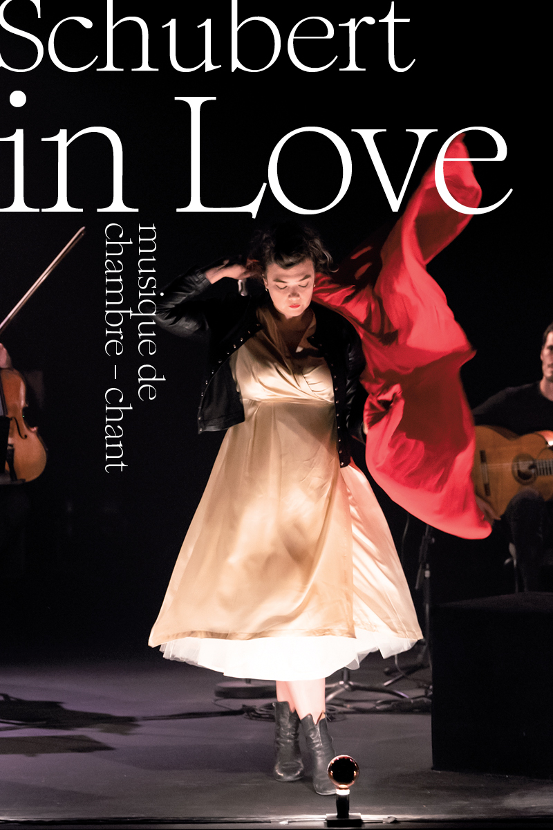 Schubert in love Scène nationale 61