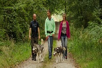cani200Sans-titre ©Sleddogride