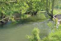 Parcours de Corbon (1ère catégorie)