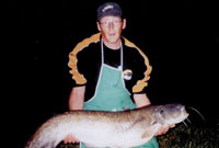 Pêche au silure au Mêle sur Sarthe