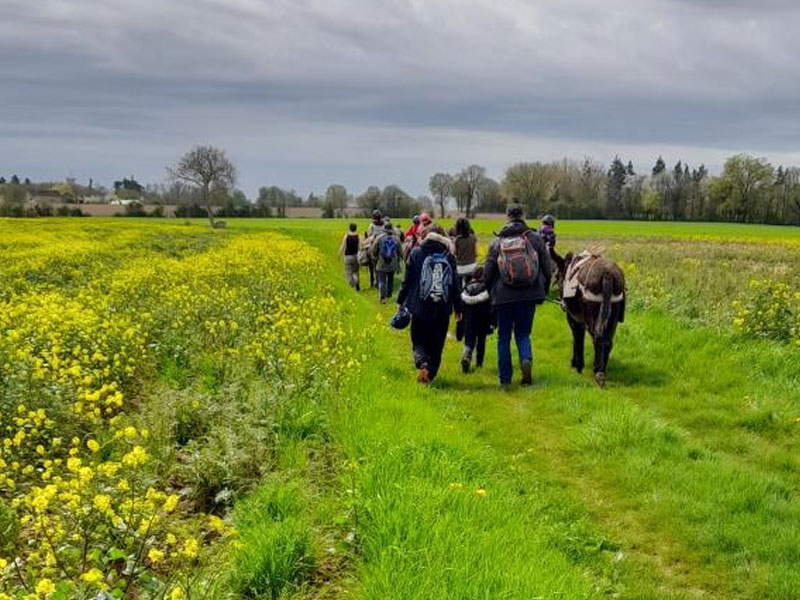 © La Chouette Mulotte La Chouette Mulotte