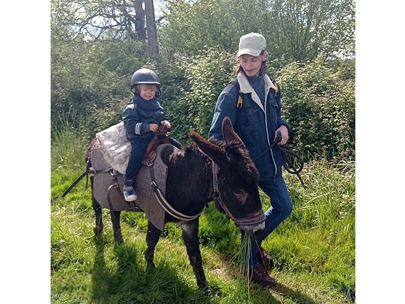 © La Chouette Mulotte La Chouette Mulotte