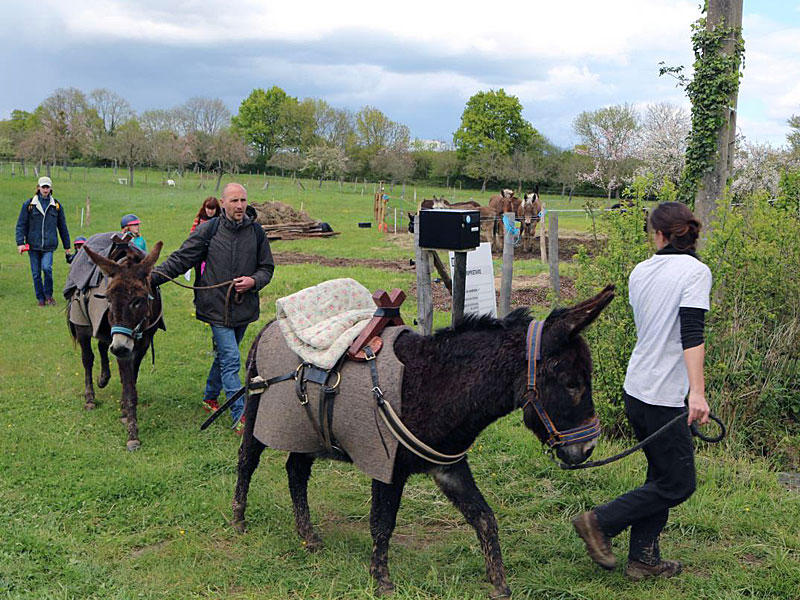 © La Chouette Mulotte La Chouette Mulotte