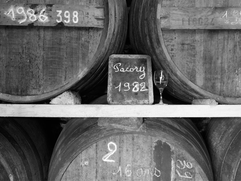 © Pacory-Ferme-Grimaux Ferme des Grimaux - Mantilly