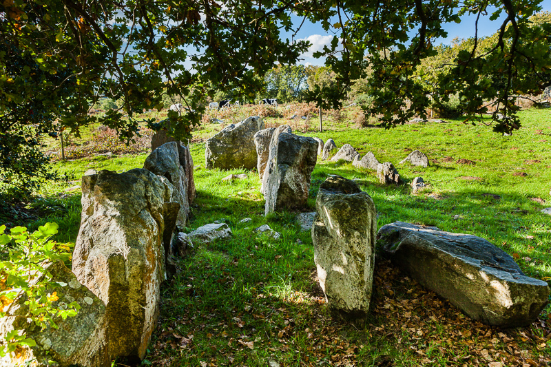 Les vieilles pierres du mont Castre - Randonnée