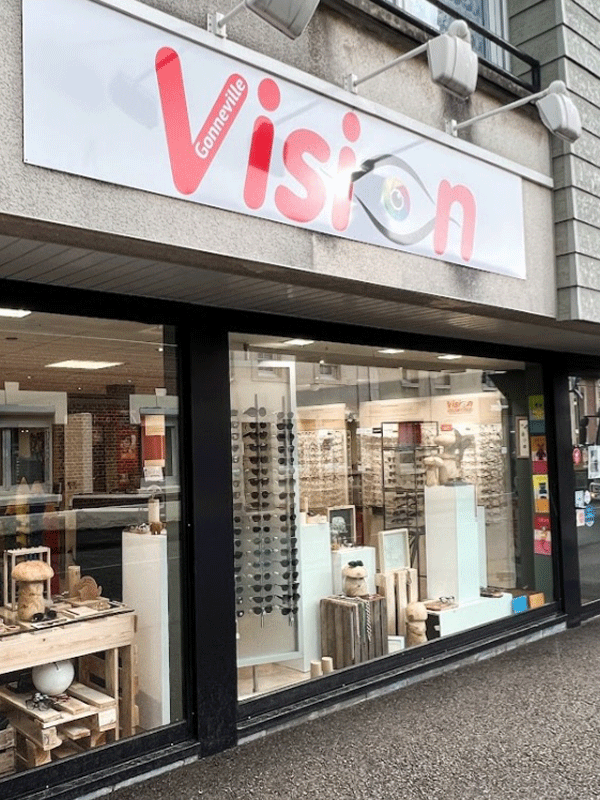 Vision Gonneville