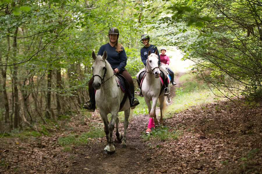 ©Ecuries Thalie -Ecuries-Thalie--1-r