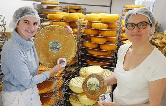 L'Explorateur : A la ferme Dumesnil, une passion fromagère