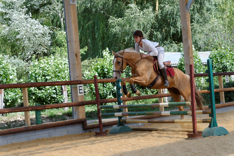 ©centre_equestre_Montmirel.jpg ©centre_equestre_Montmirel (3)red