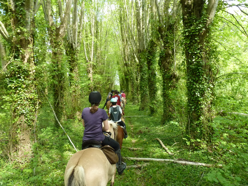 ©centre_equestre_Montmirel.jpg ©centre_equestre_Montmirel (5)red