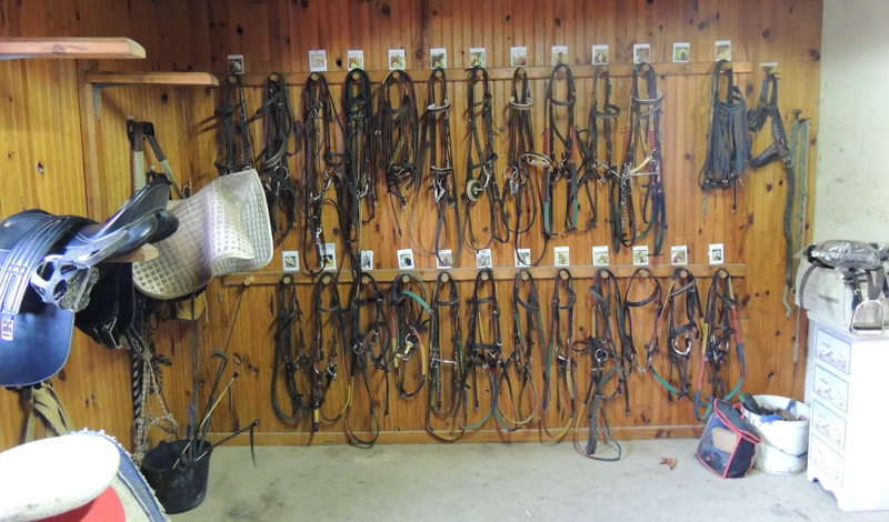 ©centre_equestre_Montmirel.jpg ©centre_equestre_Montmirel(6)