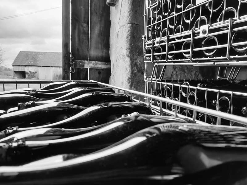 ©Matthieu Lacour-Veyranne Matthieu Lacour-Veyranne - Éperrais