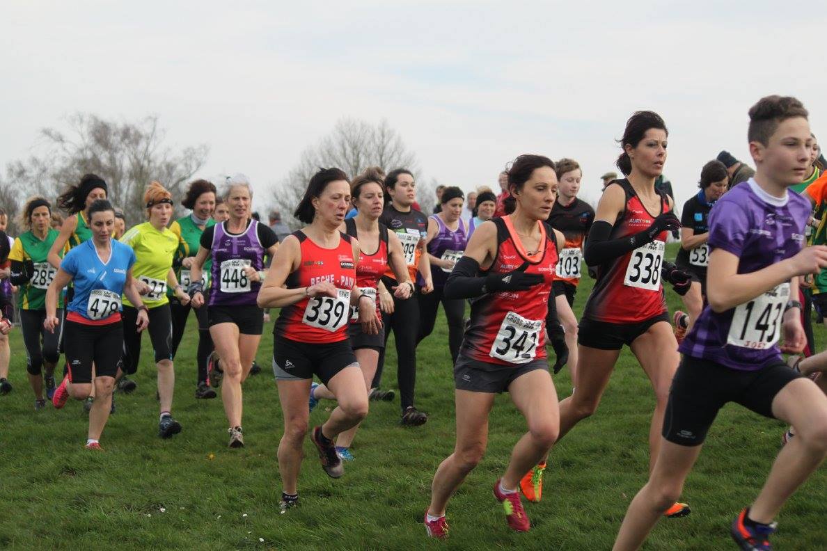 15167443_140616833081515_3103238320857991173_o SERV COM FLERS 15167443_140616833081515_3103238320857991173_o
