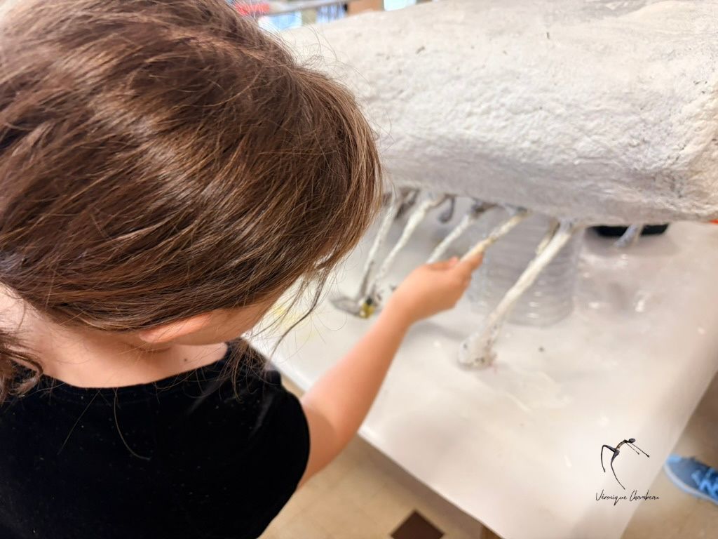 Ateliers d'initiation ou de perfectionnement à la technique du papier mâché et à l'upcycling