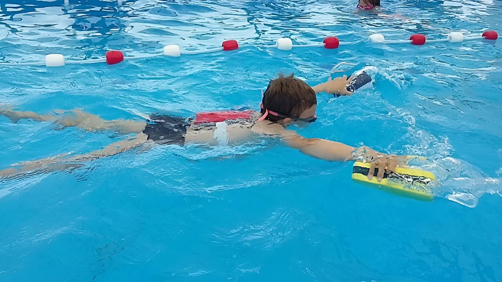 Cours de natation des Varafrogs