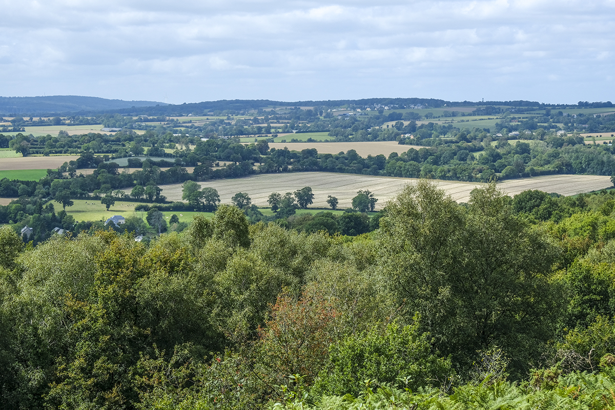 A l'assaut du Mont Pinçon