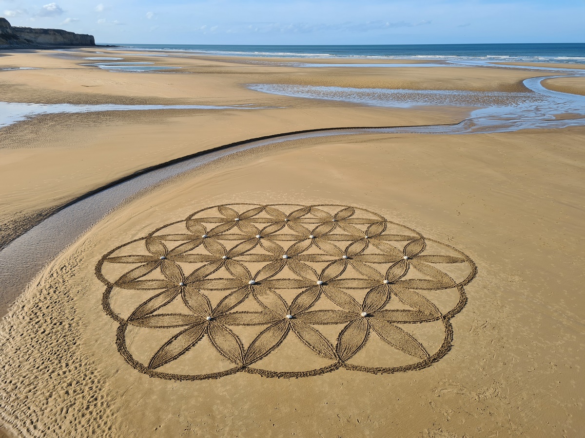 Atelier Mandala adultes