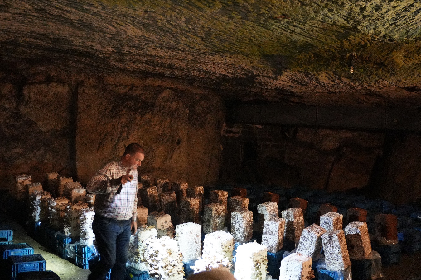 2025- Visite guidée par Mr Olivier Perrel propriétaire de la champignonnière d'Orbec  (10)