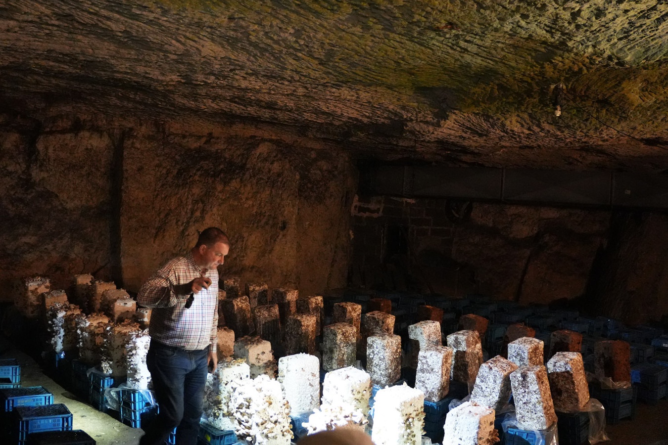 2025- Visite guidée par Mr Olivier Perrel propriétaire de la champignonnière d'Orbec  (9)
