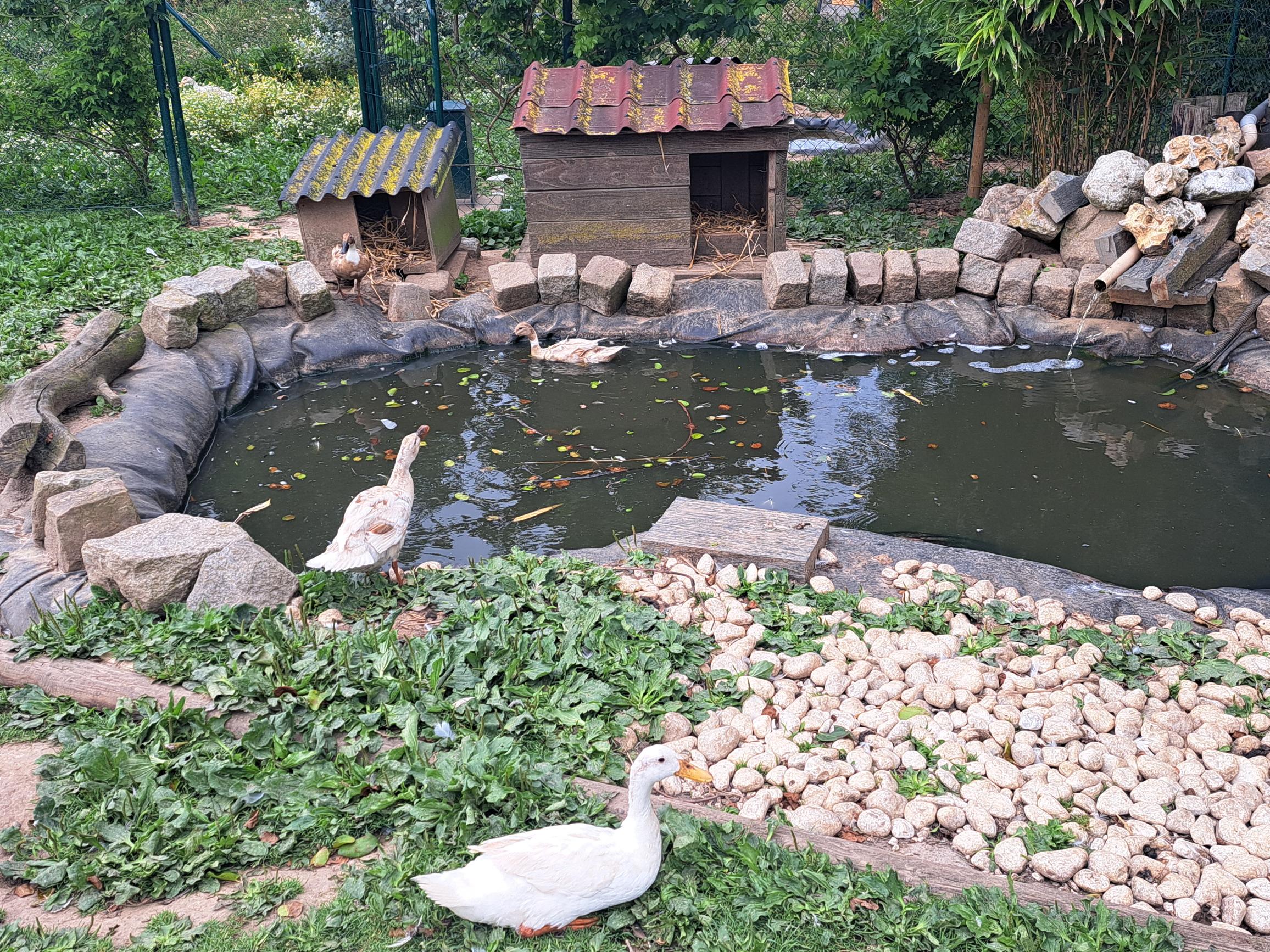 CAMPING LES POMMIERS - SAINT-LEONARD - ANNEE 2025