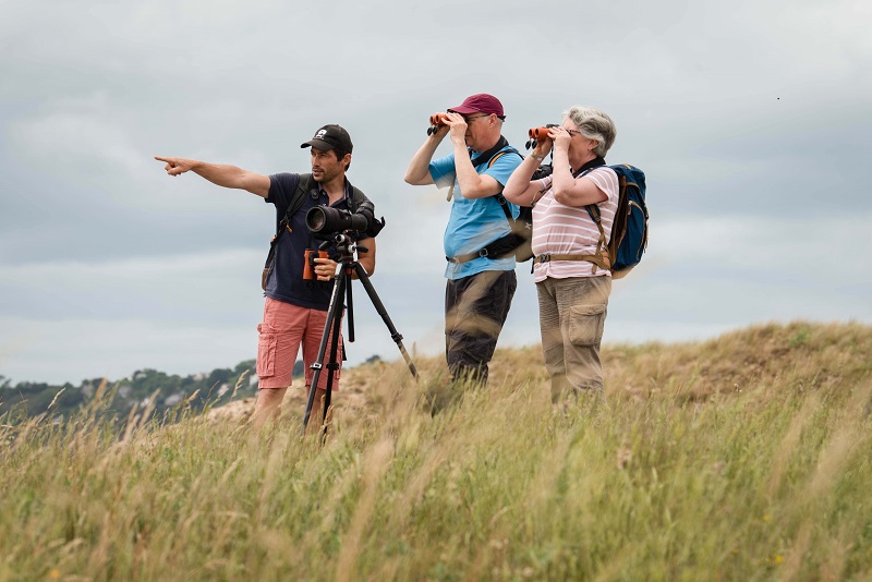 Expérience de Destination : Je me ressource grâce aux oiseaux