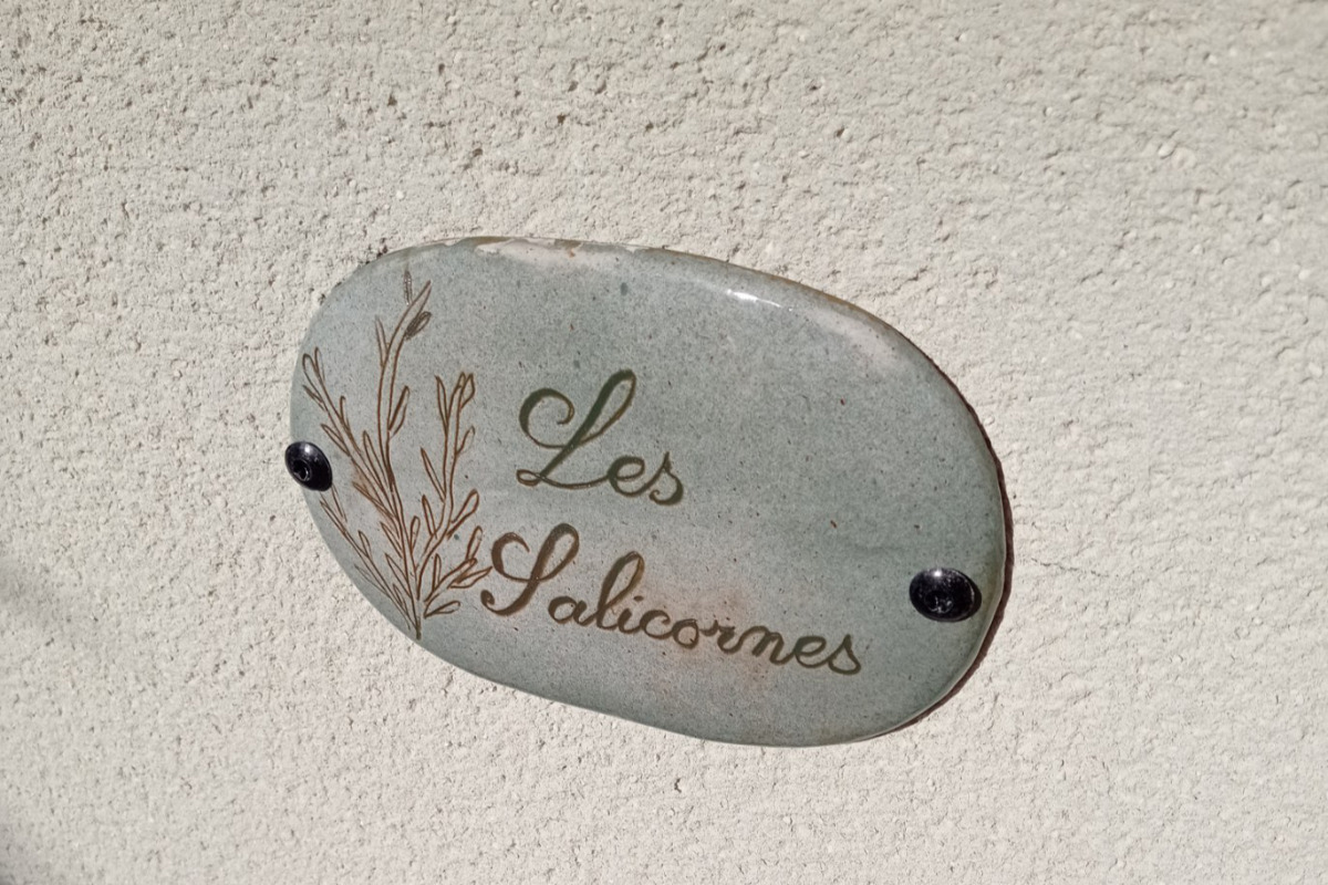 Les Salicornes