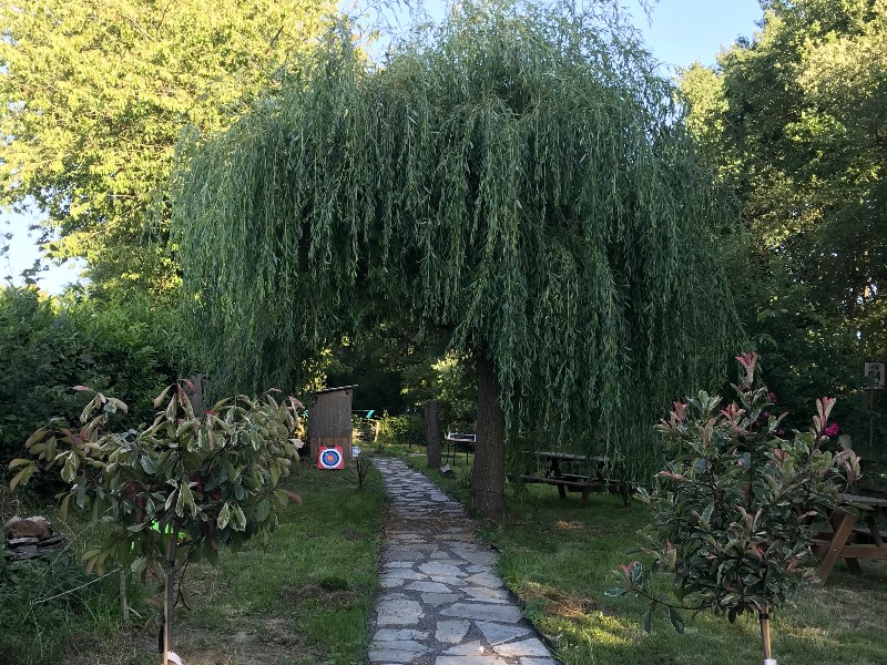 Les Racines du Goût - photo 3
