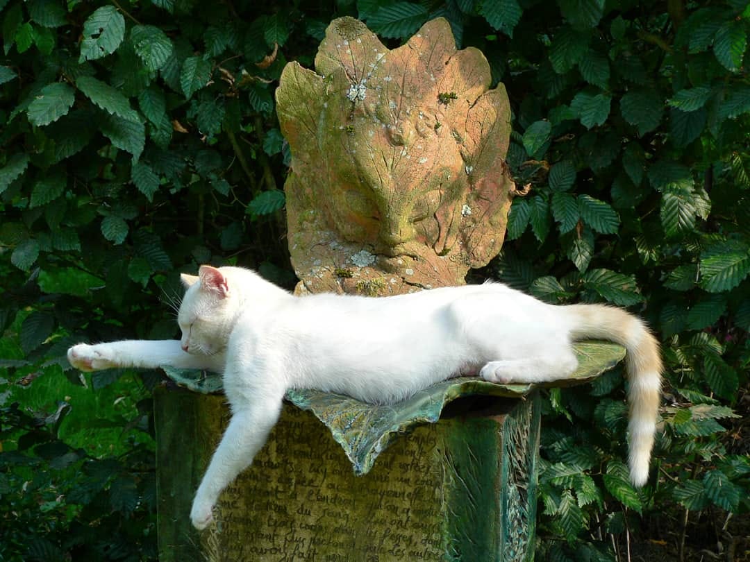 Jardin des Damville 